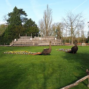 Meadow with peacock wicker decorative structures and grandstand for raptor show, 2022-04-12