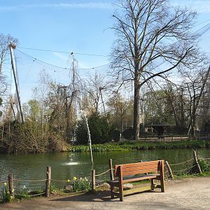 Dalmatian pelican pond and Vulture/Chough aviary, 2022-04-12