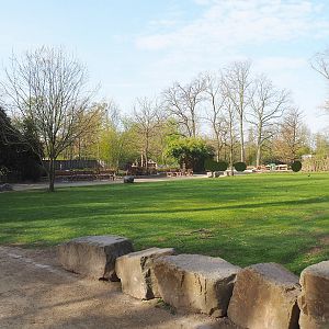 Park view near the Indian rhinoceros exhibit, 2022-04-12
