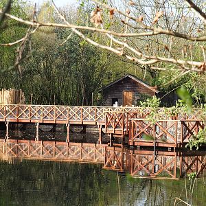 New boardwalk alongside Double-wattled cassowary exhibits, 2022-04-12