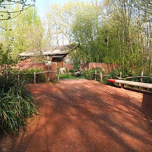 Tasmanian devil viewing area, 2022-04-12