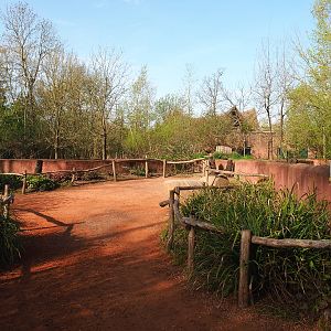 Tasmanian devil viewing area, 2022-04-12