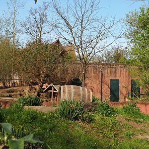 Part of Tasmanian devil exhibit and Kangaroo/Wallaby building, 2022-04-12