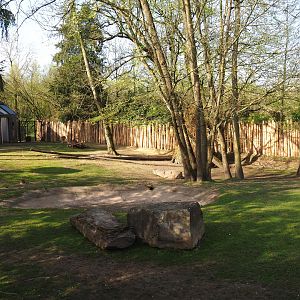 Main Kangaroo, Swamp wallaby and Emu paddock, 2022-04-12