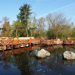 New boardwalk alongside Double-wattled cassowary exhibits, 2022-04-12