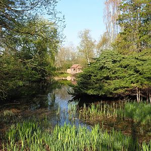 Pond in the Oceania section, 2022-04-12