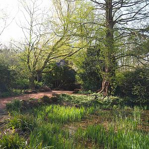 Walkway in the Oceania section, 2022-04-12