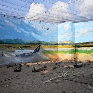 Strange rabbit enclosure