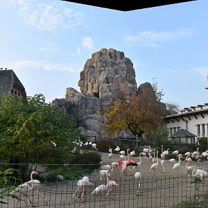 Budapest zoo panorama