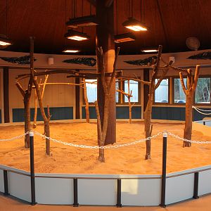 Future Macaw Pavillion