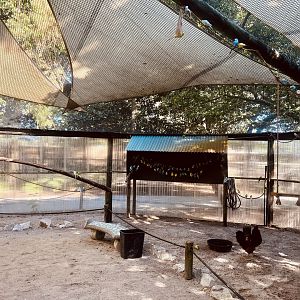 Budgie Aviary