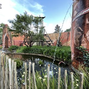 Chimpanzee Seperation Yard (Pan troglodytes)