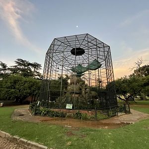 Buff-cheeked Gibbon Enclosure (Nomascus gabriellae)