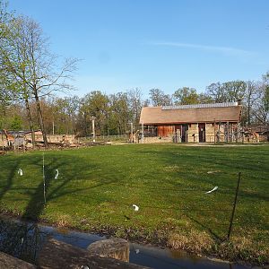 Giraffe savanna paddock, 2022-04-12