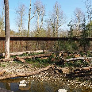 Barbary macaque exhibit, 2022-04-12