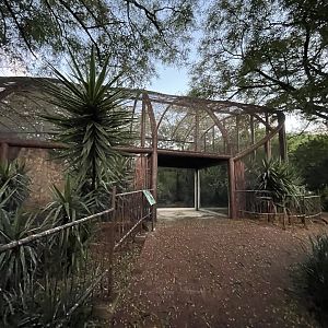 First mixed-species lemur Enclosure