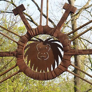 Golden-headed lion tamarin artwork above access to South American primate island, 2022-04-12