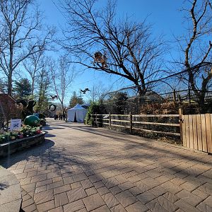 Elmwood Park - Path, saki/mara on right