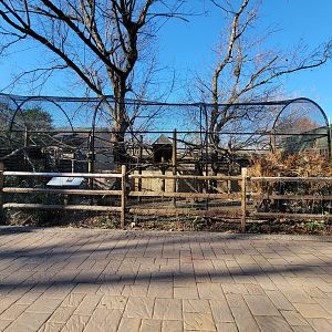 Elmwood Park - White-faced saki outdoor area, Patagonian mara