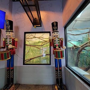 Elmwood Park - Golden lion tamarins