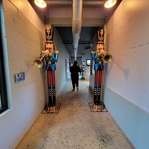 Elmwood Park - Wildlife HQ hallway