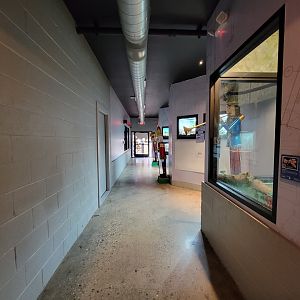 Elmwood Park - Wildlife HQ hallway