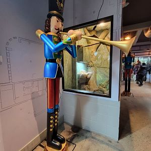 Elmwood Park - Boa constrictor