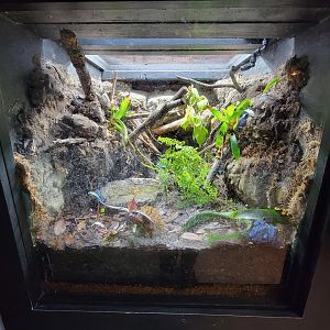 Elmwood Park - Bumblebee PDF, Dyeing/Blue PDF