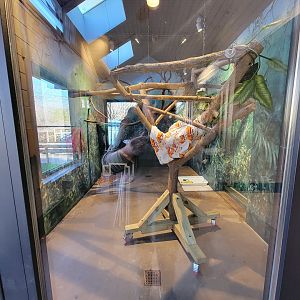 Elmwood Park - Harmony Hideaway, Sloth area