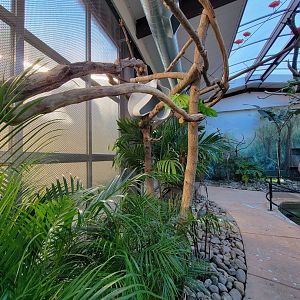 Elmwood Park - Harmony Hideaway