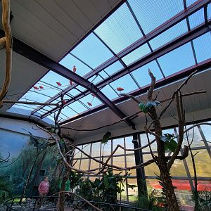 Elmwood Park - Harmony Hideaway, scarlet ibises