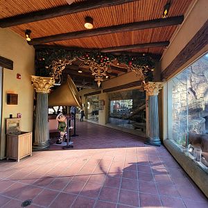 Elmwood Park - Trail of the Jaguar holiday decor