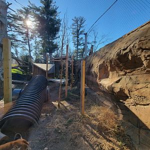 Elmwood Park - Cougars