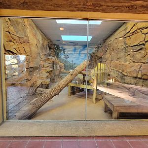 Elmwood Park - Ocelot/cougar rotational indoor area