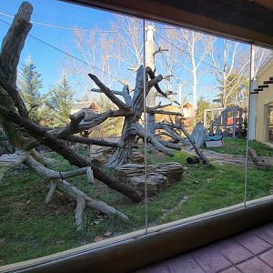 Elmwood Park - Ocelot outdoor yard