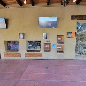 Elmwood Park - White-throated woodrat exhibits