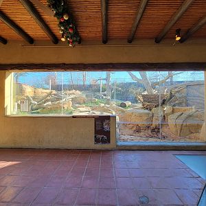 Elmwood Park - Jaguar