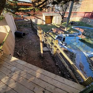 Elmwood Park - Lowland paca / Nene