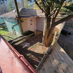 Elmwood Park - Path for otters into building