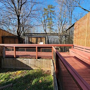 Elmwood Park - Bobcat