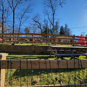 Elmwood Park - Picnic tables in what was supposed to be the capybara exhibit