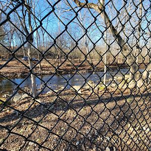 Elmwood Park - All of the trees being knocked down for development of the zoo's master plan