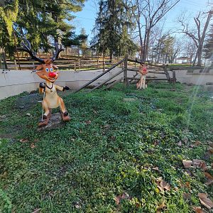 Elmwood Park - What replaced the prairie dogs...