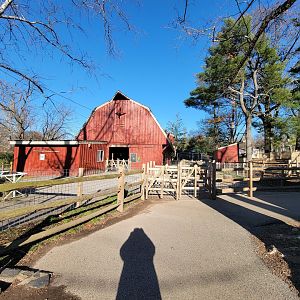 Elmwood Park - Farmyard