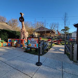 Elmwood Park - Giraffe feeding area
