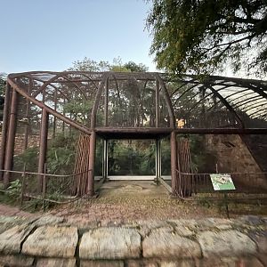 Lar Gibbon Enclosure (Hylobates lar)