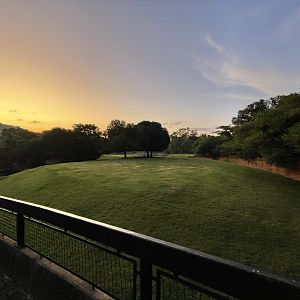 Mixed Antelope Enclosure