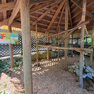 Southwick 7/22 - Green-winged macaw