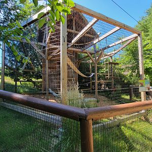 Southwick 7/22 - Red ruffed lemurs