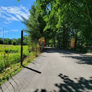 Southwick 7/22 - Path, African hoofstock on left